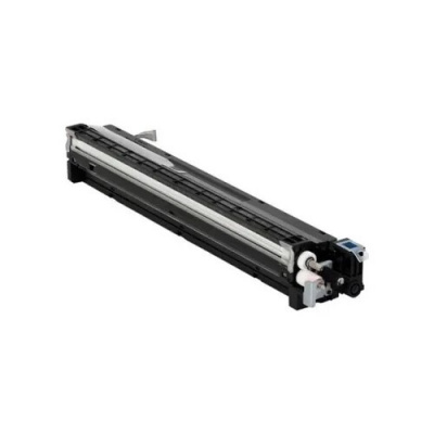 Ricoh D1773021 cyan original developer