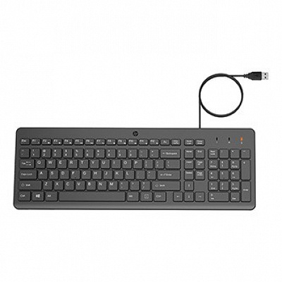 HP 150 CZ/SK klávesnice drátová (USB) CZ/SK, černá