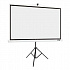 Acer 82" projection screen with tripod stand (16:10)