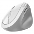 Wireless mouse, Genius Ergo 8350S, white, optical, 2400 DPI