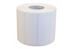 Epson 7113755 High Gloss, for ColorWorks, 102 mm x 152 mm, 210 pcs, white self-adhesive labels