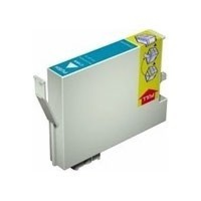 Epson T623000 original cleaning ink