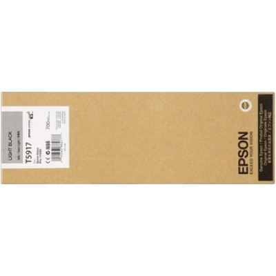 Epson C13T591700 light black original ink cartridge