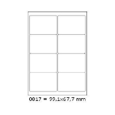 Self-adhesive labels R0100.0817 99,1 x 67,7 mm, 8 labels, A4, 100 sheets