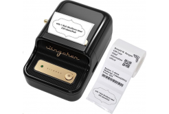 Niimbot B21 Smart 1AC19051601 label printer, black + label roll