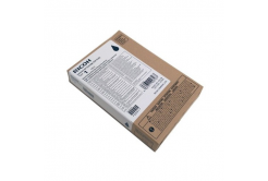 Ricoh 100 257063 black original ink cartridge