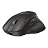 HP 785M Capacitor Scroll Wireless Mouse BPS Wireless Mouse, Black, 1200 DPI