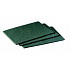 3M Scotch-Brite™ 96 Scouring Pad for Kitchens, Green, 158 x 224 mm