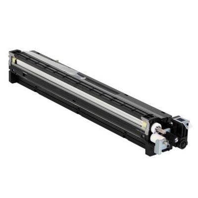 Ricoh D1773035 black original developer