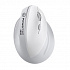 Powerton ERGO SPIRA Wireless Mouse, white-gray, 3200 DPI