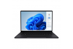 ASUS ProArt PX13/HN7306EA-OLED023XZ/AIMAXPLUS-395/13.3"/2880x1800/T/128GB/1TB/AMD int/W11P/Black/2R