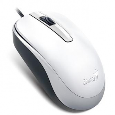 Genius Mouse DX-120 31010105107, 1200DPI, optic, 3tl., wired USB, white, standard, universal