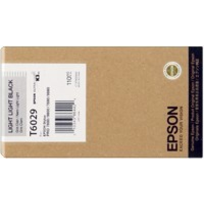 Epson C13T602900 light black original ink cartridge