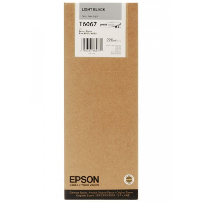 Epson T606700 light black  original ink cartridge