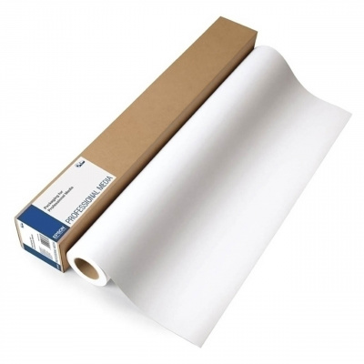 Epson PremierArtt WaterResistant Canvas Satin Roll C13S041845, 350 g/m2, 13", 330mmx6.1m, satin, white, canvas