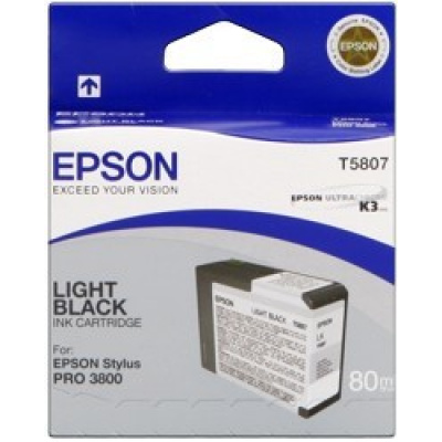 Epson T580900 light black  original ink cartridge