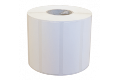 Zebra 3011714 PolyE 3100T Gloss, 148 x 210 mm, 650 labels, white
