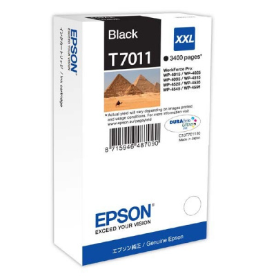 Epson T7011 C13T70114010 black original ink cartridge