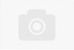 Professional Lab FG-P211-E1, 3D filament, PETG + CF, 1,75mm, 1000g, Grey