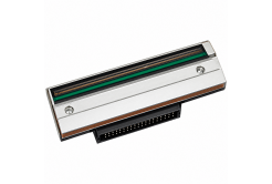 Zebra P1112750-086 print head, 8 dots/mm (203dpi)