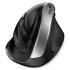Genius Mouse Ergo 8250S 31030031401, 1600DPI, 2.4 [GHz], optical, 6tl., wireless, black-silver, 1 pc AA, vertical