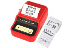 Niimbot B21 Smart 1AC13081606 label printer, red + label roll