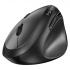 Wireless mouse, Genius Ergo 8350S, gray, optical, 2400 DPI