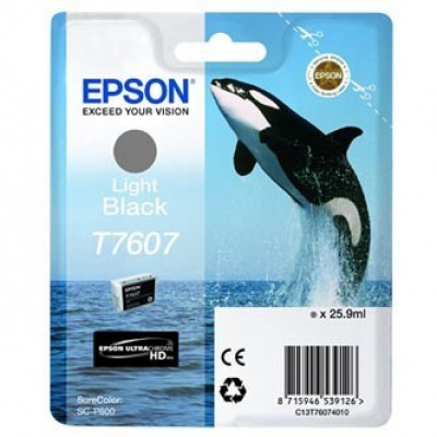 Epson T7607 T76074010 light black  original ink cartridge