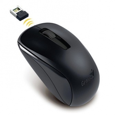 Genius Mouse NX-7005 31030017400, 1200DPI, 2.4 [GHz], optical, 3tl., wireless USB, black, AA